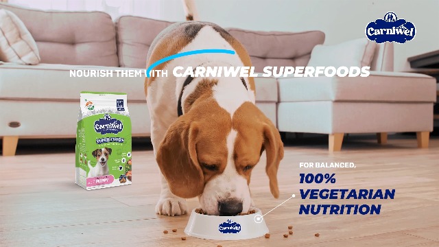 Carniwel Superfoods Starter Dry Dog Food 10 kg | 100% Vegetarian